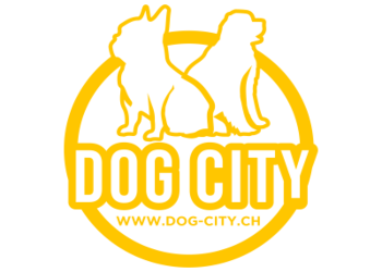 Dog_City_Header_Logo_Gelb
